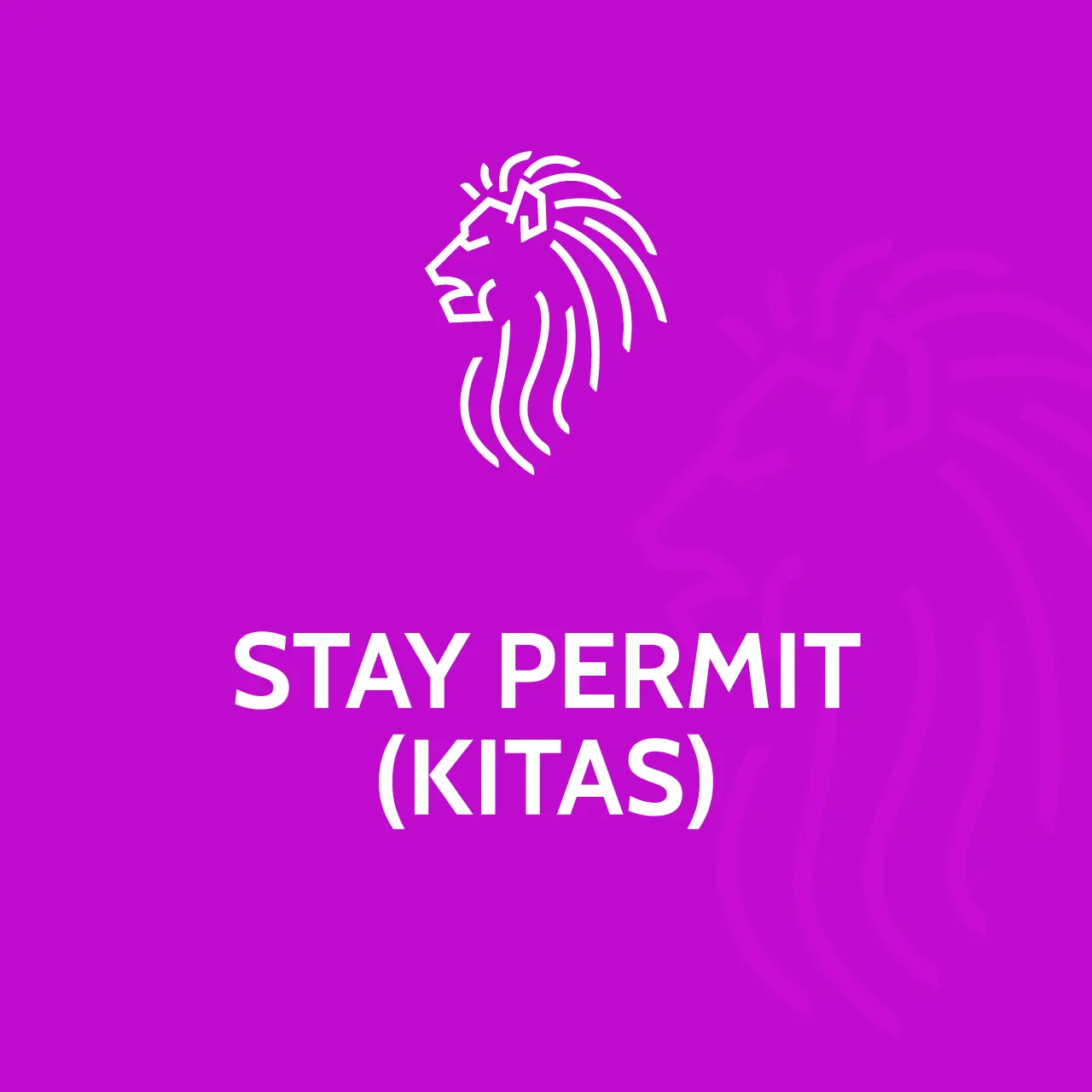 Stay Permit (KITAS)