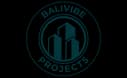 Balivibe Projects